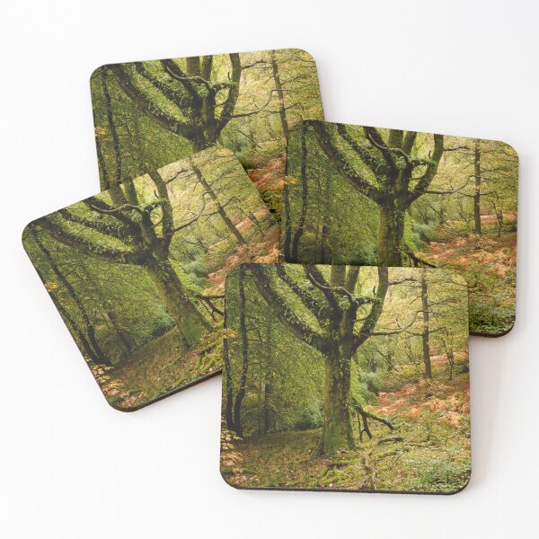 Item preview, Autumn shades in Skelghyll Woods designed and sold by John Dunbar.