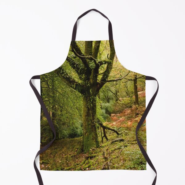 Item preview, Autumn shades in Skelghyll Woods designed and sold by John Dunbar.