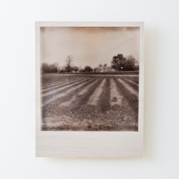 Impossible Project MS Delta Field Wood Mounted Print