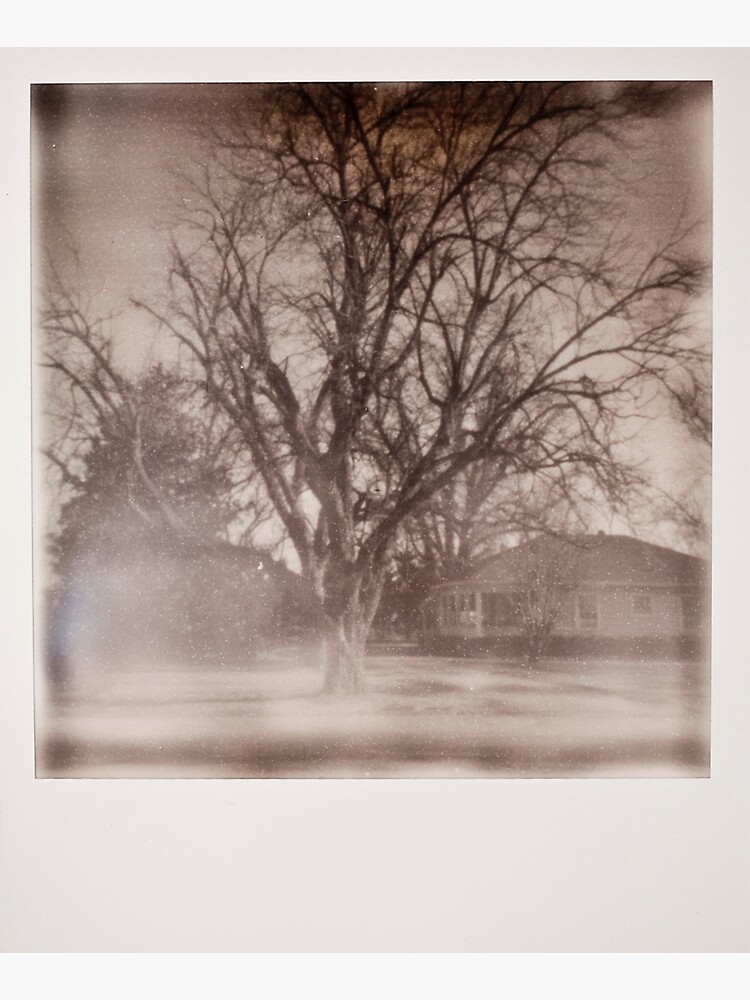 Impossible Project MS Delta Tree by fmyers711