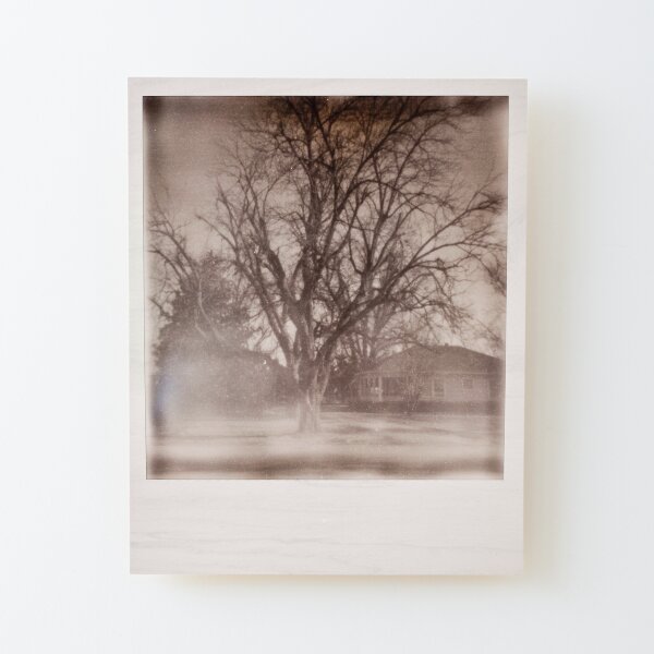 Impossible Project MS Delta Tree Wood Mounted Print