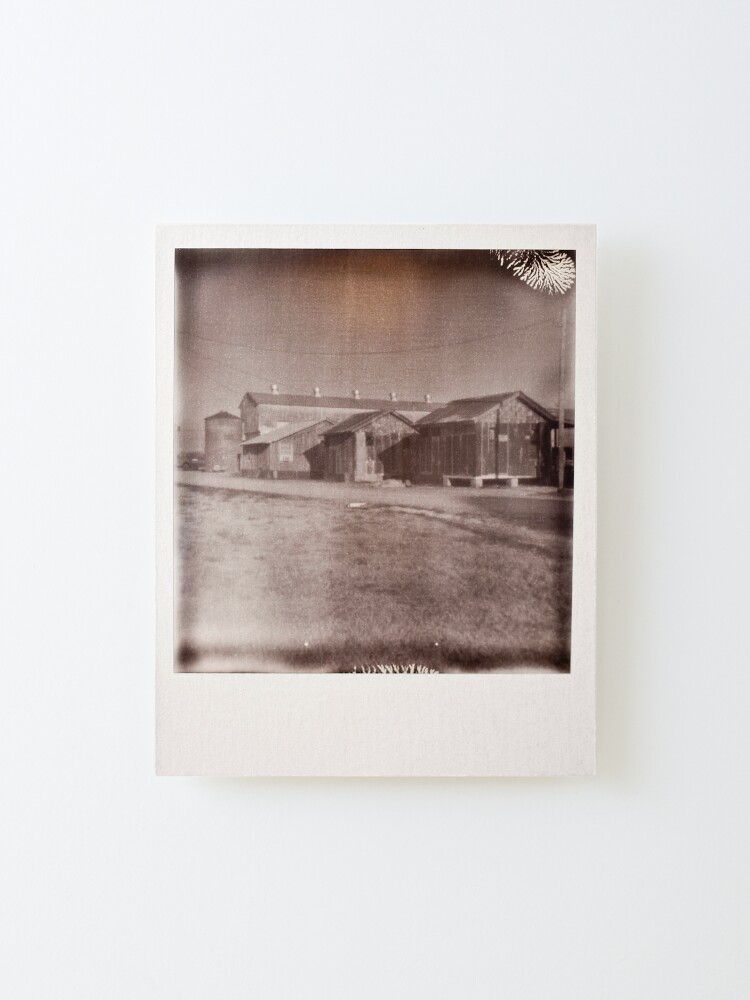 Alternate view of Impossible Project Shack Up Inn Mounted Print