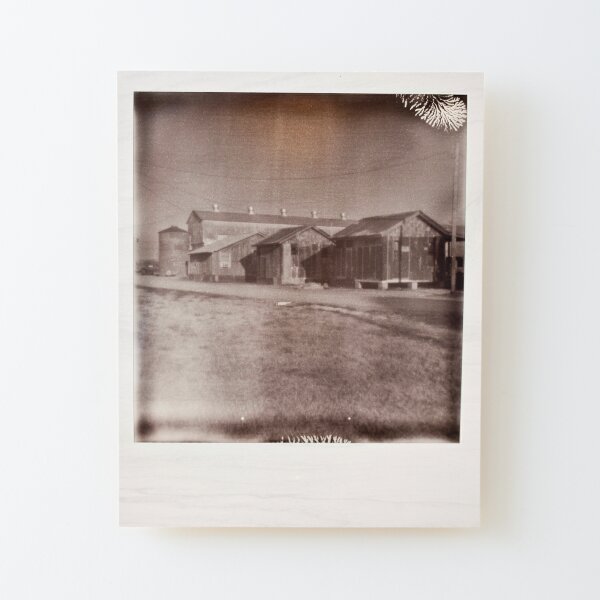 Impossible Project Shack Up Inn Wood Mounted Print