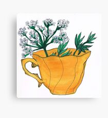 Anise Canvas Print
