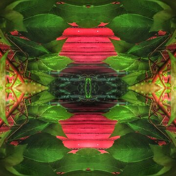 Artwork thumbnail, Ivy Fence by kinkatstyle