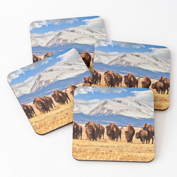 Item preview, American Bison are Grazing in a Field in Colorado, Surrounded by Mountains Covered in Snow designed and sold by Rocky Mountain Artistry.