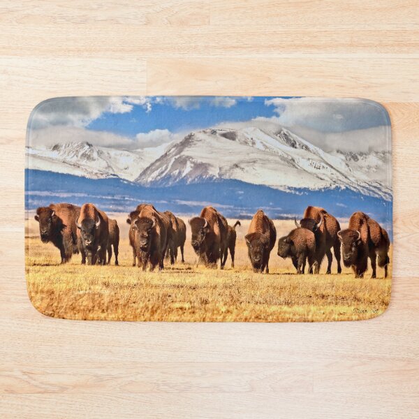 Item preview, American Bison are Grazing in a Field in Colorado, Surrounded by Mountains Covered in Snow designed and sold by Rocky Mountain Artistry.