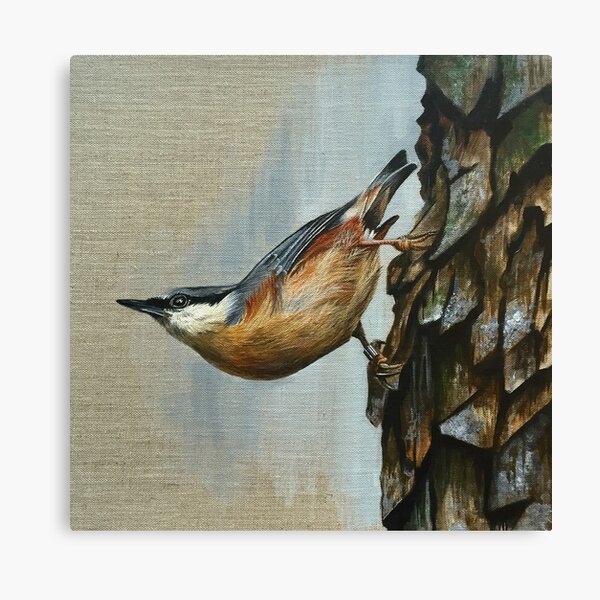 Item preview, Nuthatch just hanging around designed and sold by ArtByJudith.