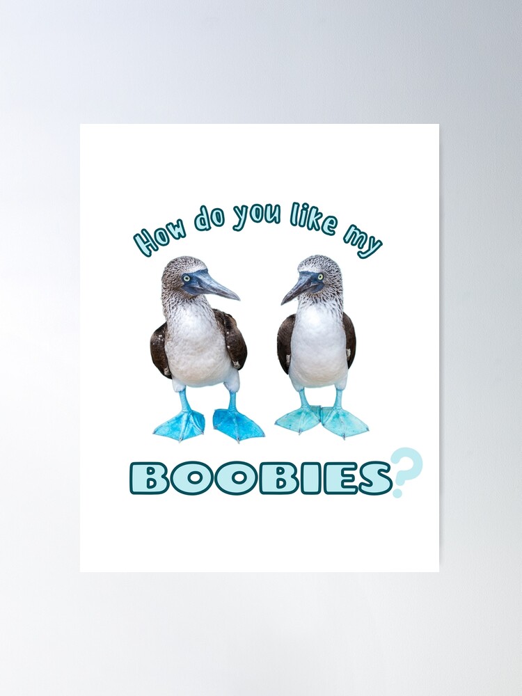 How Do you Like my Blue Footed Boobies Poster for Sale by FlakeyBiscuit3