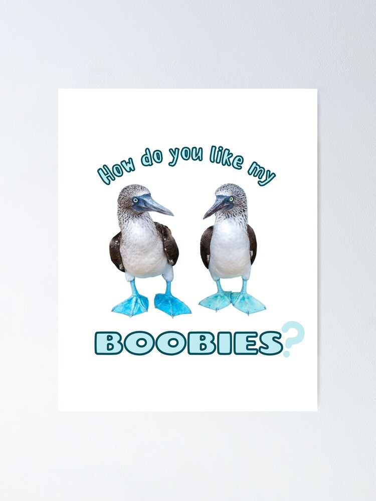 Boobies Drawing | Poster