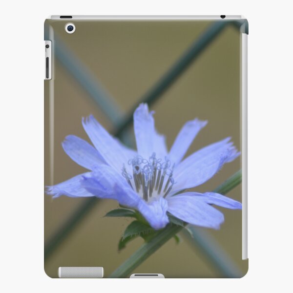 Tangled iPad Snap Case