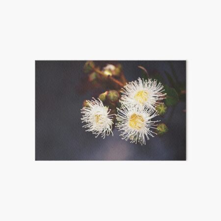 Blossoms and Buds Art Board Print