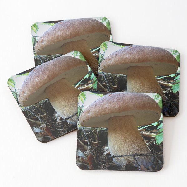 Item preview, Boletus mushroom designed and sold by AdioraStore.