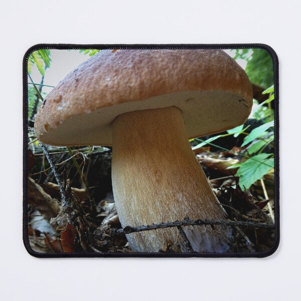 Item preview, Boletus mushroom designed and sold by AdioraStore.