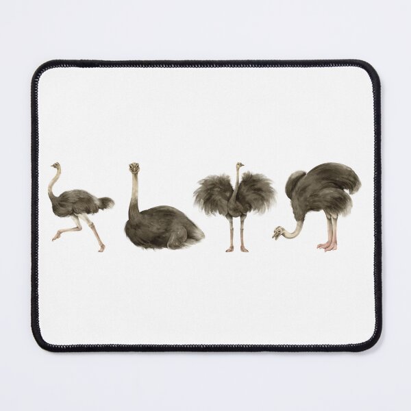 Item preview, ostrich Pattern minimalist designed and sold by JJB-Designs.