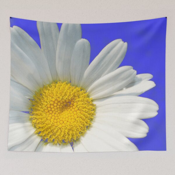 Item preview, White Daisy Flower Close-Up On Electric Blue Background designed and sold by DEC02.