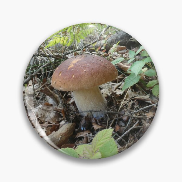 Item preview, Boletus mushroom designed and sold by AdioraStore.