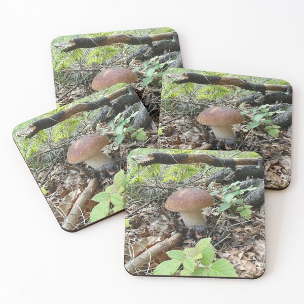 Item preview, Boletus mushroom designed and sold by AdioraStore.