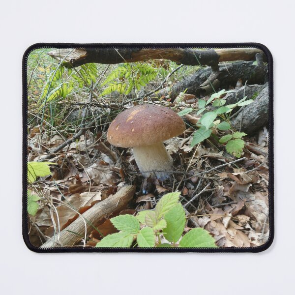 Item preview, Boletus mushroom designed and sold by AdioraStore.