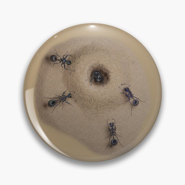 Item preview, The anthill and its ants designed and sold by Zal-Production.