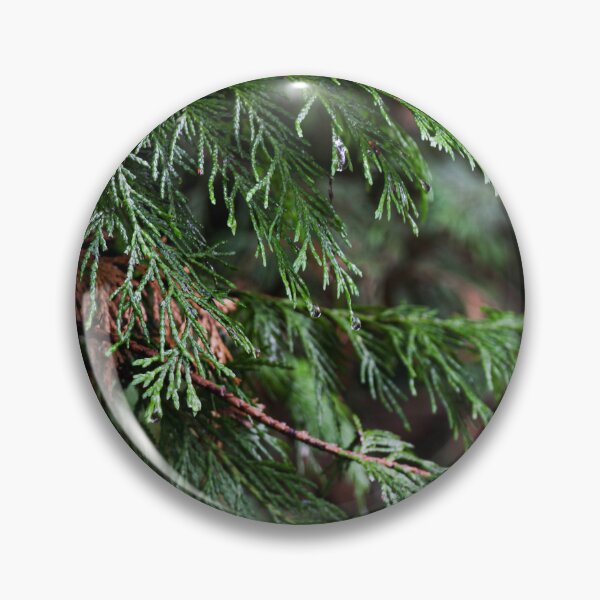 Item preview, Deep Green Fir Tree designed and sold by Jodie Cresswell.