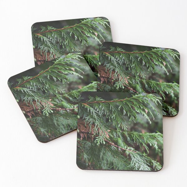 Item preview, Deep Green Fir Tree designed and sold by Jodie Cresswell.