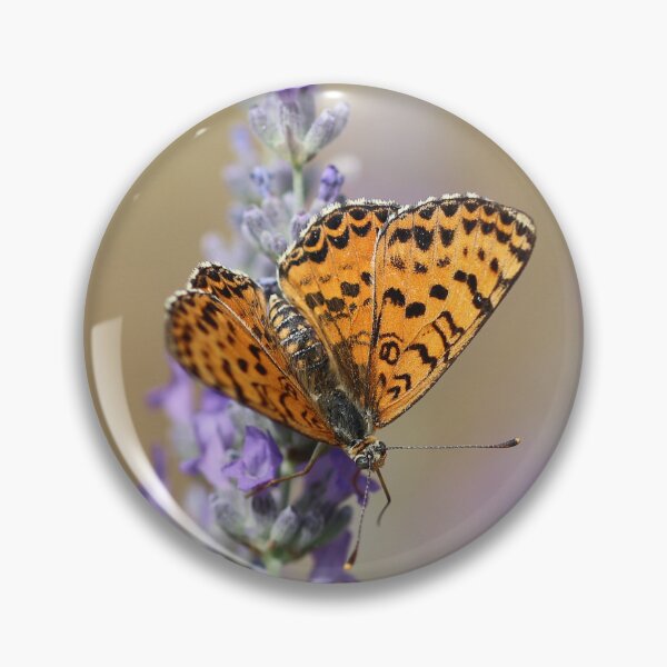 Item preview, Spotted Fritillary Butterfly On Lavender designed and sold by SweepingShadows.