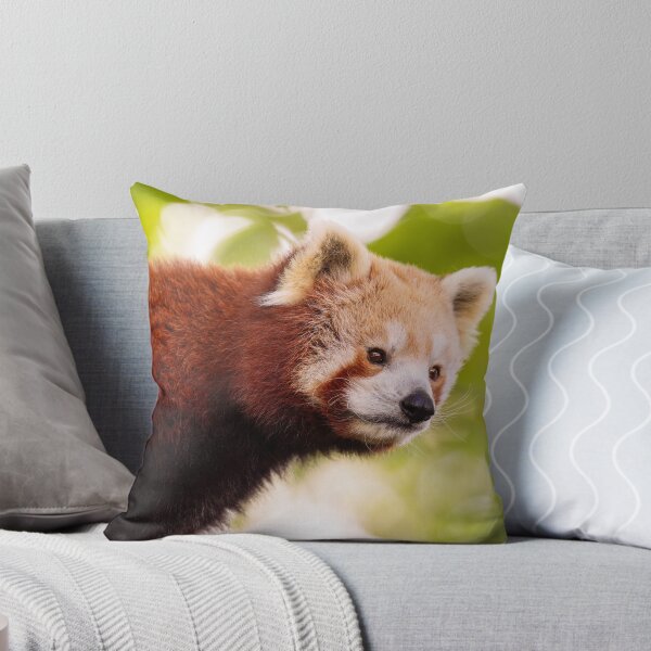 Item preview, Brave Red Panda designed and sold by AndyFayeImagery.