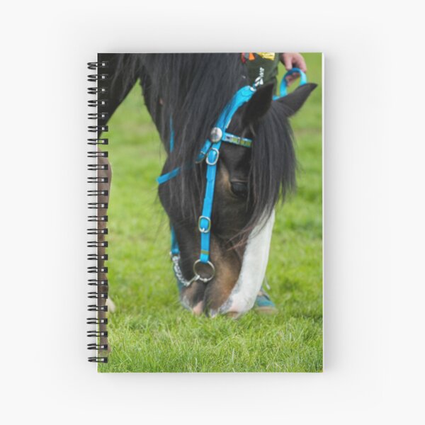 Aperçu de l'œuvre Poulain miniature et cheval de trait créée et vendue par AndyFayeImagery.