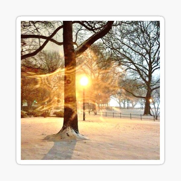 Winter Solstice Sticker