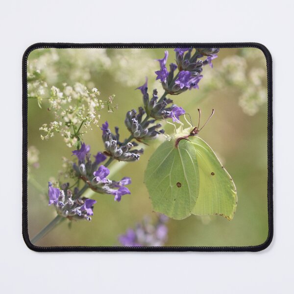 Item preview, Brimstone Butterfly  designed and sold by SweepingShadows.