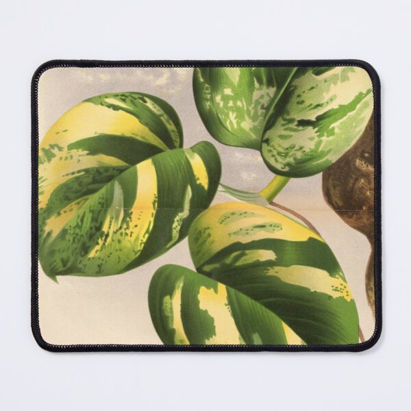 Item preview, Pothos Plant designed and sold by BlueSpecsStudio.