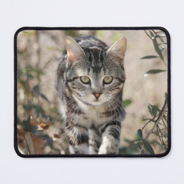 Item preview, Approaching designed and sold by SweepingShadows.