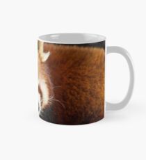 Ailurus Fulgens Tasse (Standard)