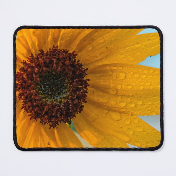Item preview, Soaked Sunflower designed and sold by akiobsession.
