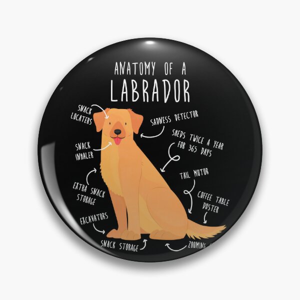 Labrador pin best sale