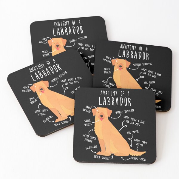 Item preview, Yellow Labrador Retriever Dog Anatomy designed and sold by Clara Hollins.