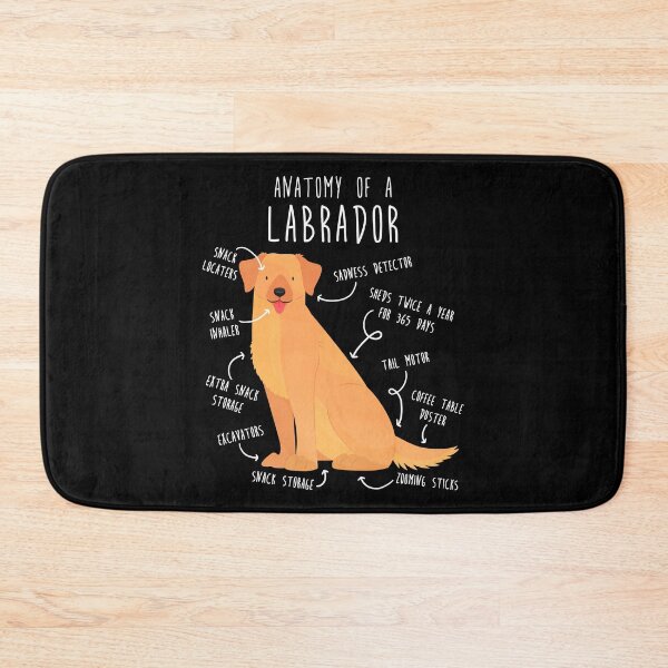 Item preview, Yellow Labrador Retriever Dog Anatomy designed and sold by Clara Hollins.