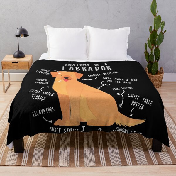 Item preview, Yellow Labrador Retriever Dog Anatomy designed and sold by Clara Hollins.
