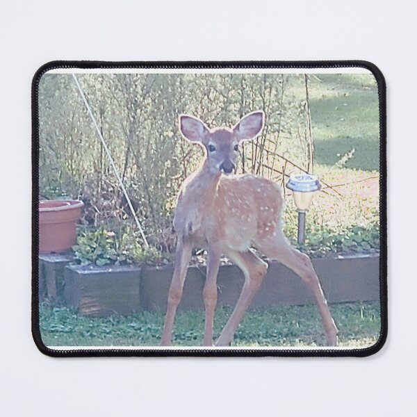Item preview, baby deer 1 designed and sold by Americentai.