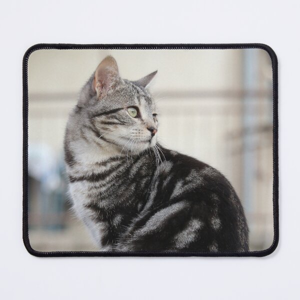 Item preview, Young Tabby Cat  designed and sold by SweepingShadows.