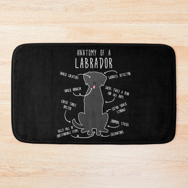 Item preview, Black Labrador Retriever Dog Anatomy designed and sold by Clara Hollins.