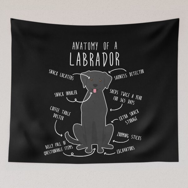 Item preview, Black Labrador Retriever Dog Anatomy designed and sold by Clara Hollins.