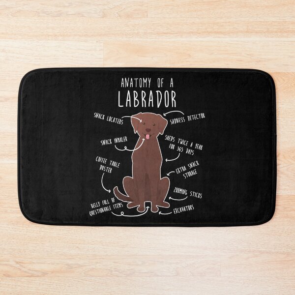 Item preview, Chocolate Labrador Retriever Dog Anatomy designed and sold by Clara Hollins.