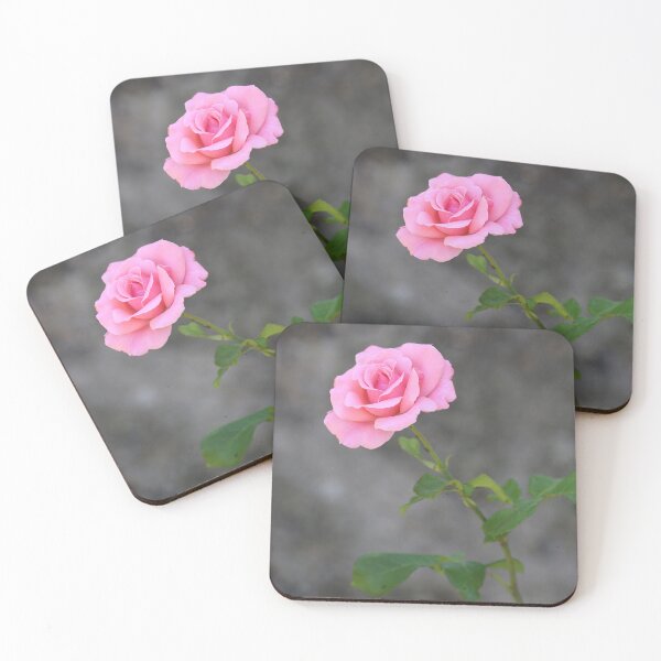 Item preview, Delicate Light Pink Rose designed and sold by SweepingShadows.
