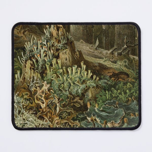 Item preview, Forest Lichen designed and sold by BlueSpecsStudio.