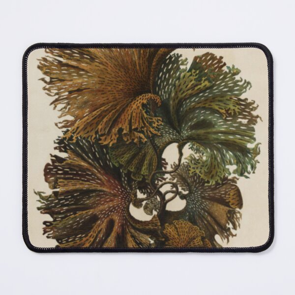 Item preview, Naturalist Seaweed designed and sold by BlueSpecsStudio.