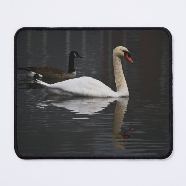 Item preview, Synchronize Swimming Swan with ... designed and sold by Poete100.