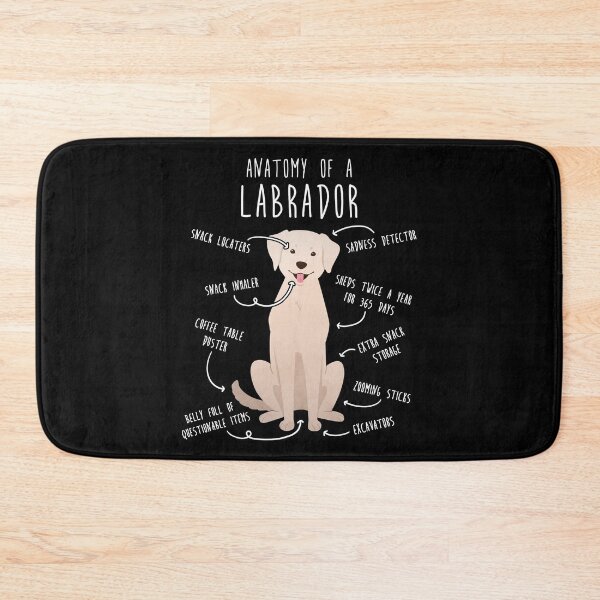 Item preview, Yellow Labrador Retriever Dog Anatomy designed and sold by Clara Hollins.