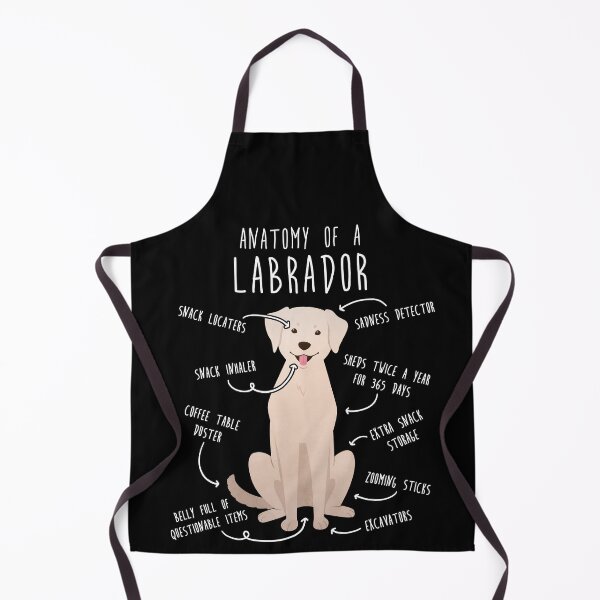 Item preview, Yellow Labrador Retriever Dog Anatomy designed and sold by Clara Hollins.